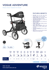 Aspire Vogue Adventure Walker Flyer